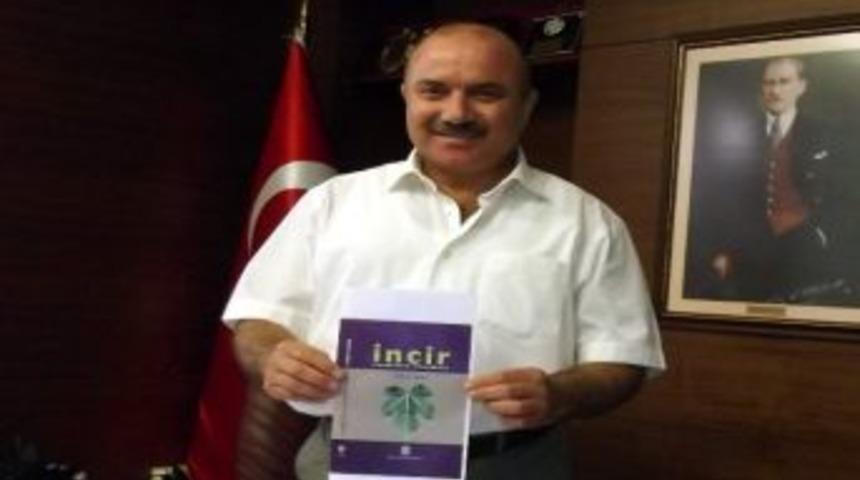 Roman Tadında İncir Kitabı