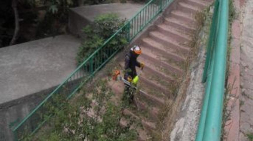 Temizlik İşleri İş Başında