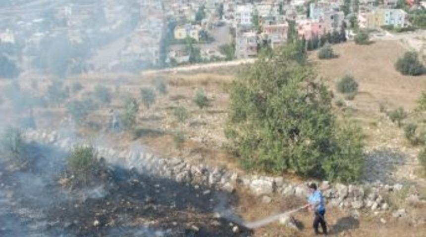 Yanan Zeytin Fidanlarına &Ouml;nce Vatandaşlar Sonra İtfaiye M&uuml;dahale Etti