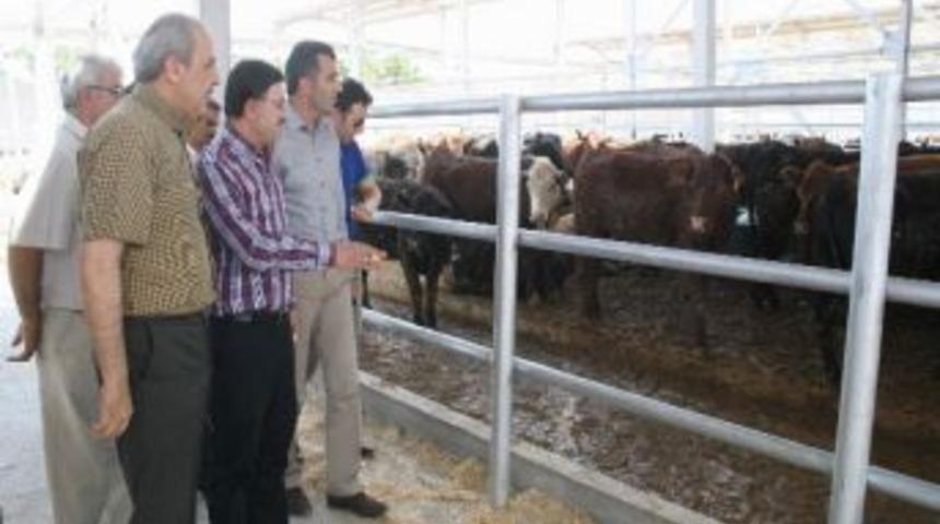 Et Ve Balık Kurumu Yozgat Ekonomisine Katkı Sağlayacak