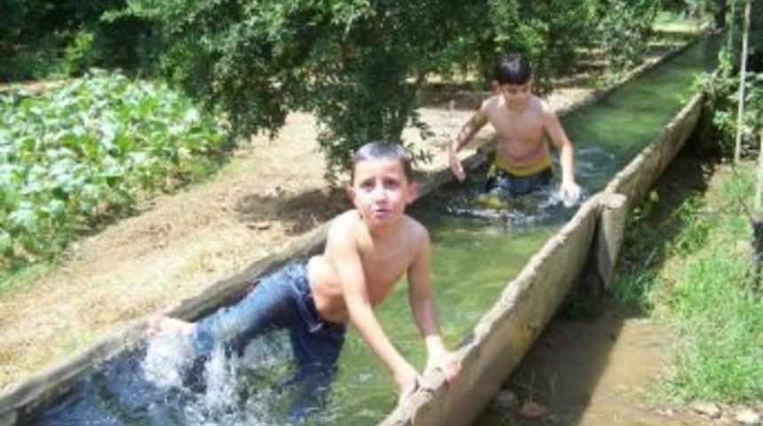 Sulama Kanallarında Serinliyorlar