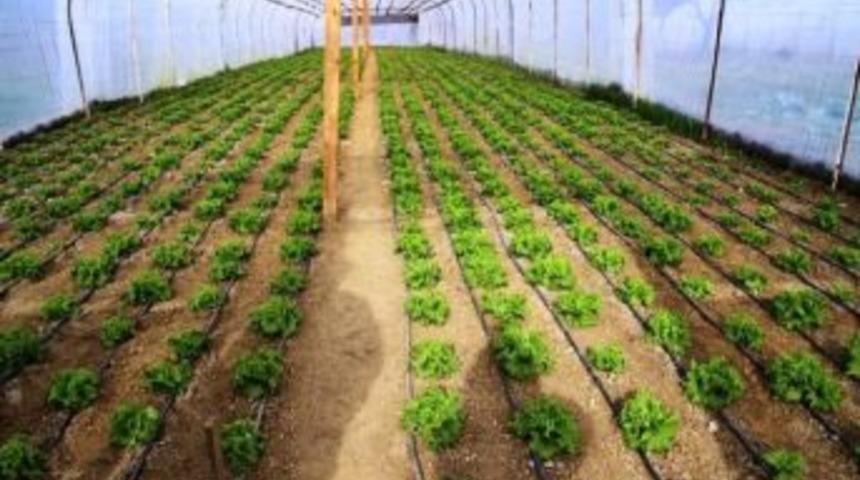 D&uuml;zce'de Bireysel Sulama Ekipmanlarına Hibe Desteği Verilecek