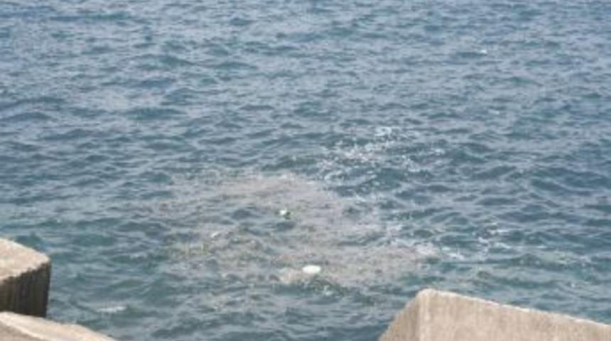 Zonguldak &Ccedil;&ouml;p Kokuyor