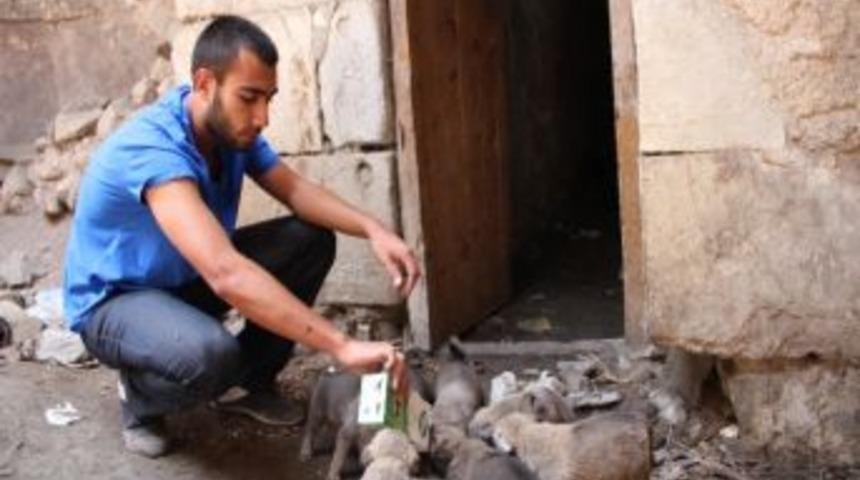 Sel&ccedil;uklu Hamamı S&uuml;rpriz Konuklarını Ağırlıyor