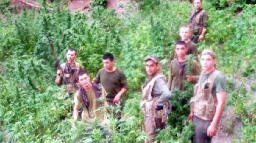 Hatay'da Uyuşturucu Operasyonu