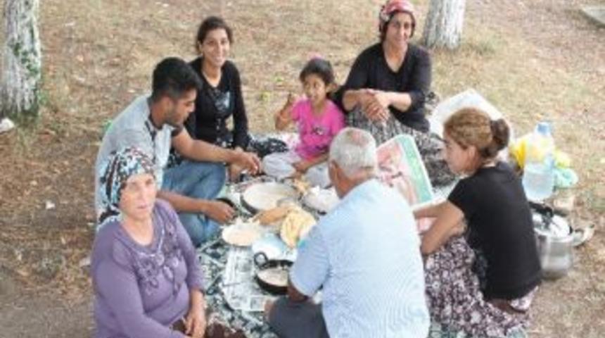 Doğulu Fındık İşçileri Yevmiyeyi Düşük Buldu