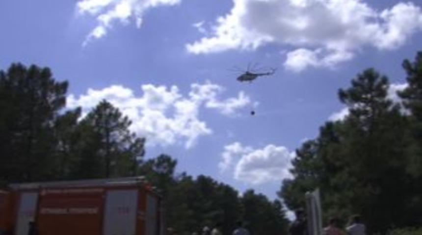 Sultanbeyli'de Orman Yangını