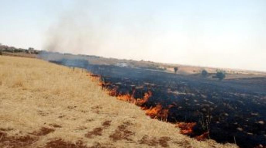 Anız Yangını Ağa&ccedil;lara Zarar Verdi