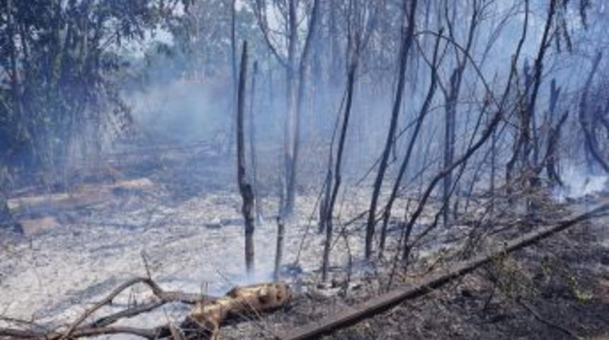 Tren Yolundaki Yangın Seferleri Durdurdu