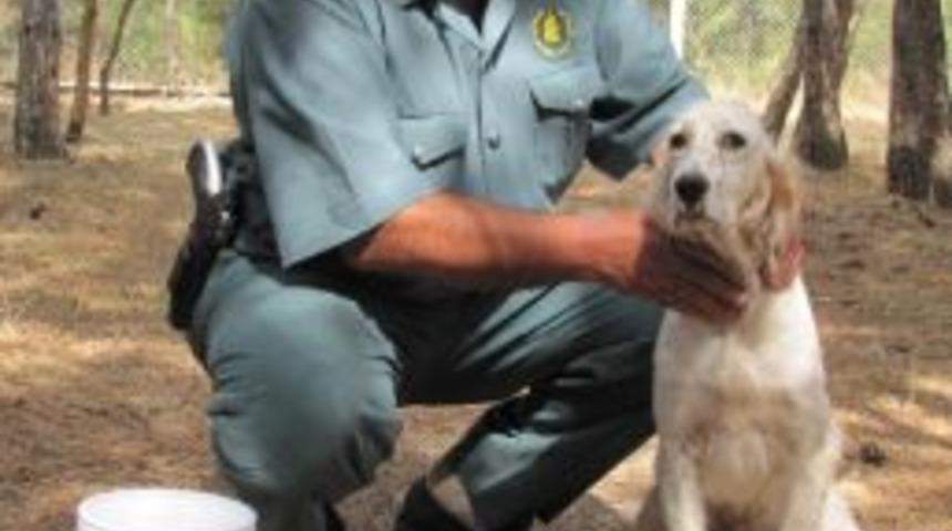 Sokak Hayvanları Susuz Kalmayacak