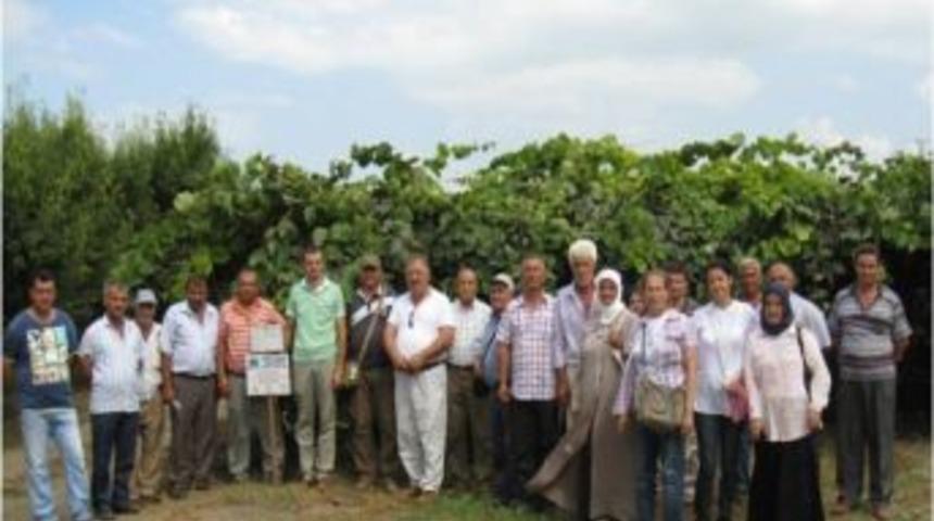 İyi Tarım Uygulamaları Geliştirilecek