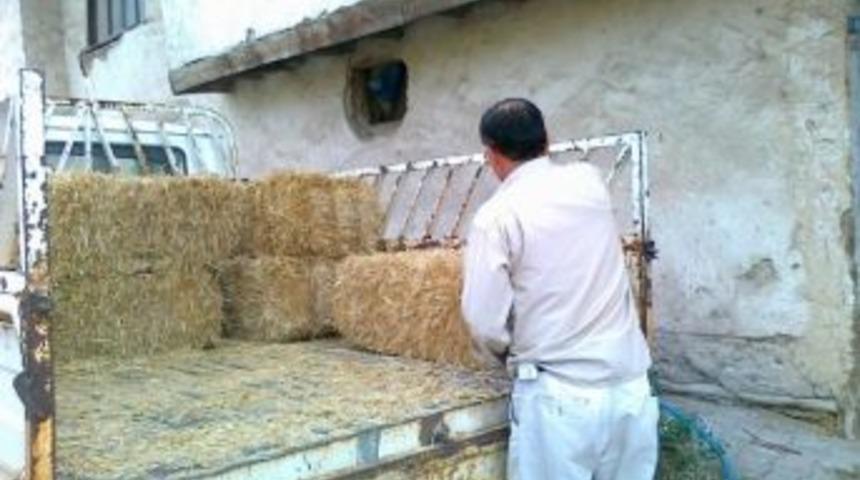 Hisarcık'ta Saman Fiyatları İkiye Katladı