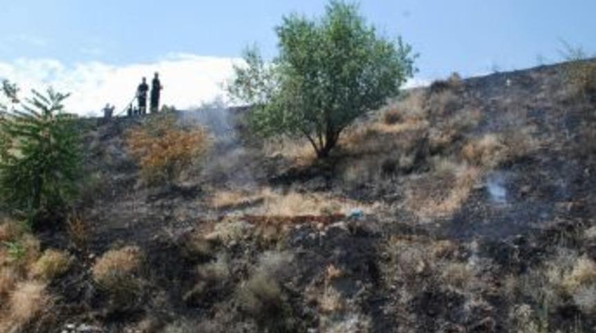 Ot Yangını Ormanlık Alana Sıçramadan Söndürüldü