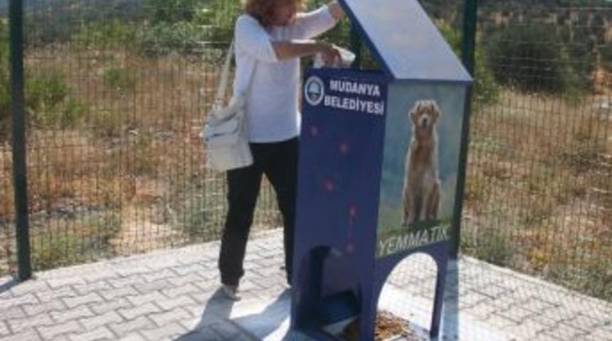 Sokak Hayvanları İ&ccedil;in Seferberlik