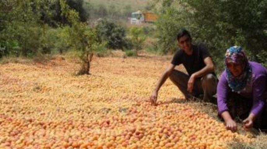 Kadınların Kış Hazırlıkları