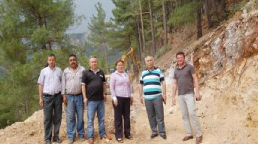 'Bal Ormanı' Sayesinde Arıcılar Artık Şehir Şehir Gezmeyecek