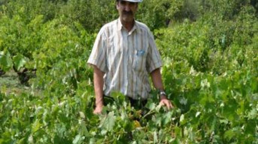 Simav G&ouml;k&ccedil;eler'de Dolunun Bilan&ccedil;osu 182 Bin Tl