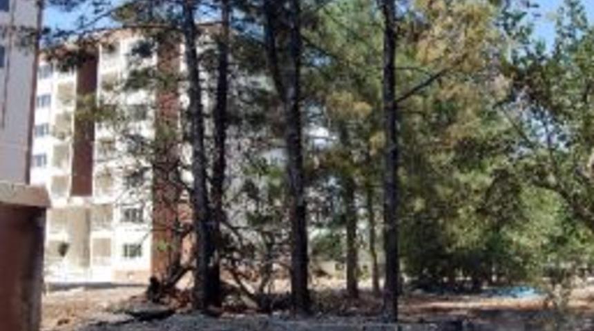 Toki Bah&ccedil;esindeki Yangın Korkuttu