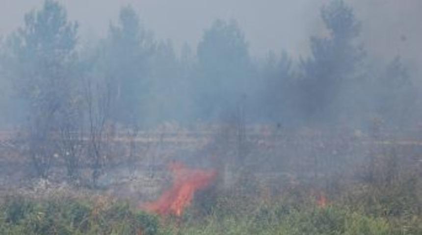Bursa-balıkesir Sınırındaki Orman Yangını Kontrol Altına Alındı