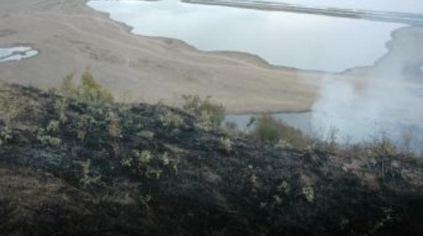 Trabzon'da &Ouml;rt&uuml; Yangını