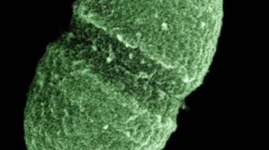 En &ccedil;ok merak edilen 25 soru