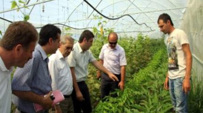 B&uuml;y&uuml;kşehir'in Tarım &Ccedil;alışmaları Sonu&ccedil; Verdi