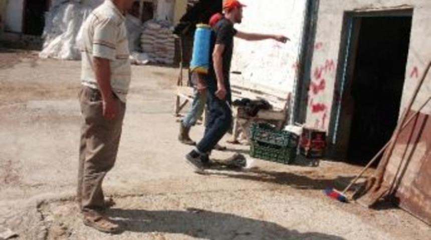 Karasineklerle Etkin M&uuml;cadele Yapılıyor