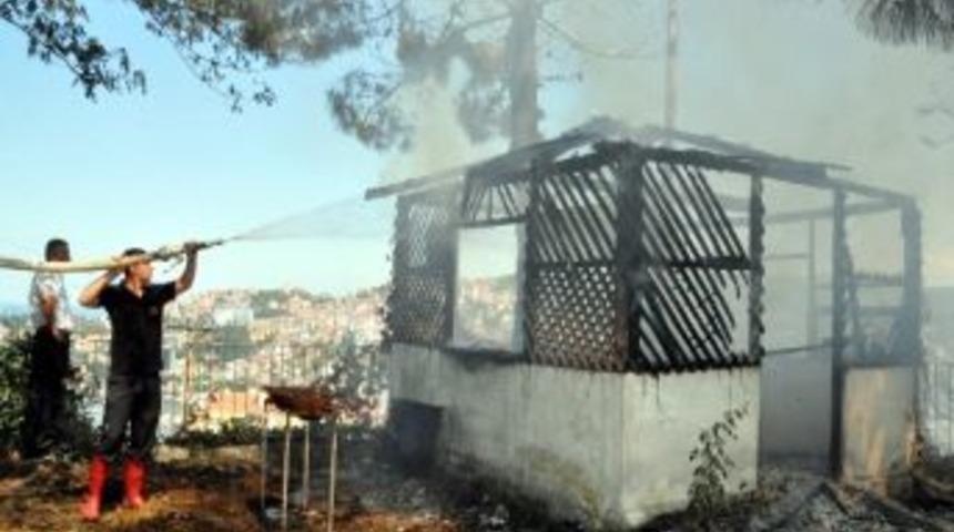 Hastane Yakınındaki Yangın Korkuttu