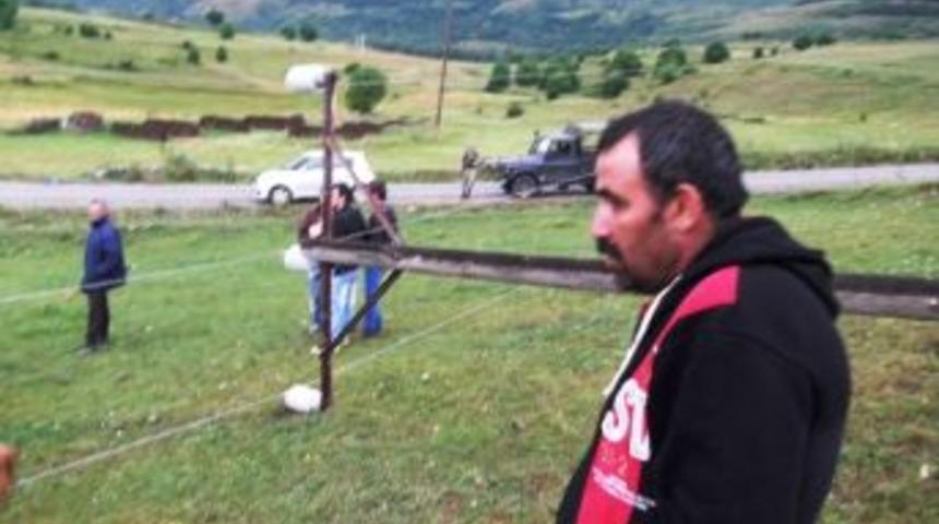 Devrilen Elektrik Direği İnekleri &Ouml;ld&uuml;rd&uuml;