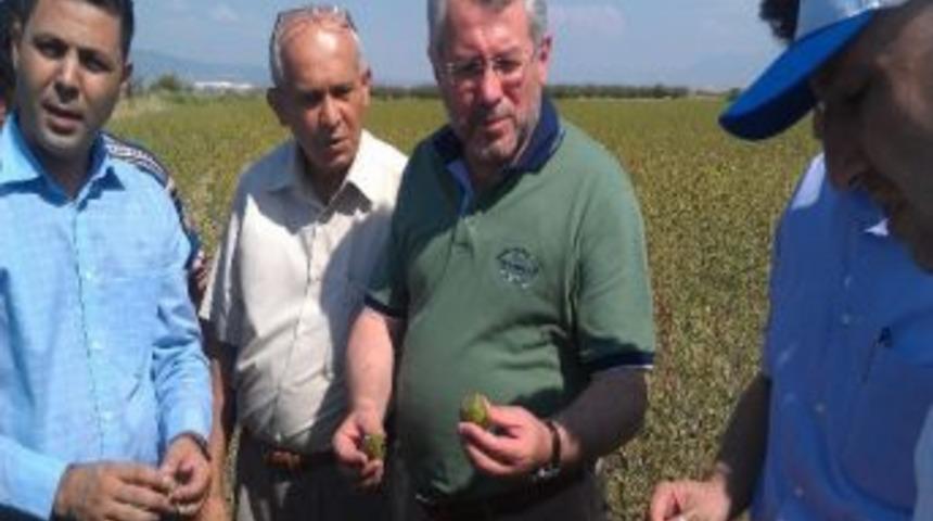 Y&uuml;ksel, Doludan Zarar G&ouml;ren B&ouml;lgede İncelemelerde Bulundu