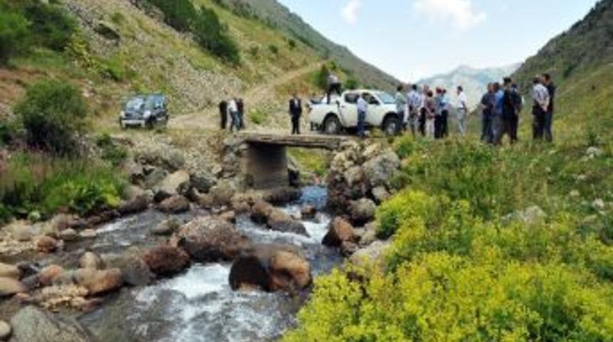 G&uuml;m&uuml;şhane'de &Ccedil;it Deresi'ne 5 Bin Kırmızı Benekli Alabalık Bırakıldı