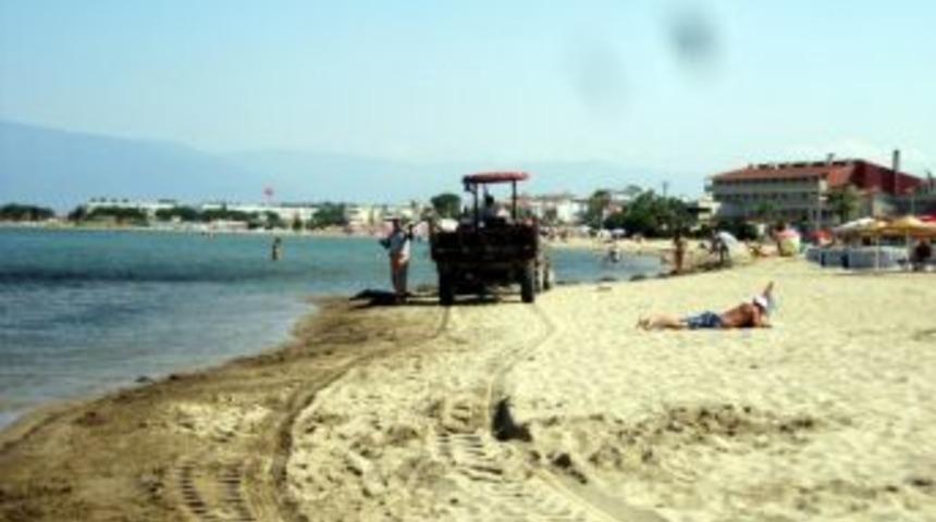 Burhaniye&rsquo;de Mavi Bayraklı Plaja Yakışır Temizlik