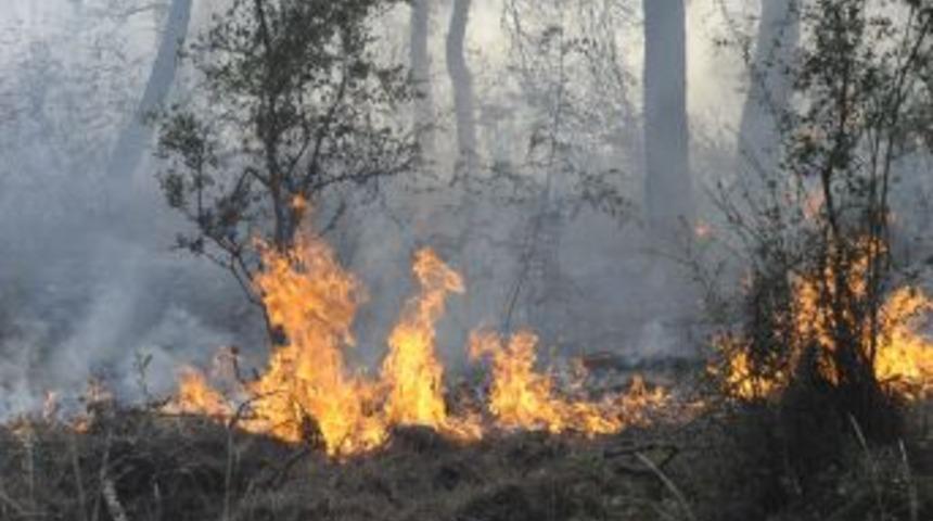 &Ccedil;anakkale&rsquo;deki Orman Yangın Kontrol Altına Alındı