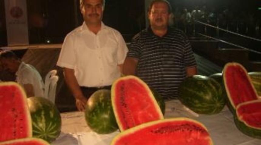 Bafra&rsquo;da Kavun Ve Karpuzlar Yarıştı