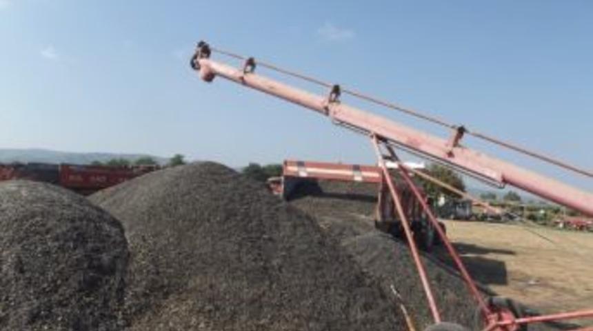 Poyraz Ve Kuraklık Ay&ccedil;i&ccedil;eğini Vurdu