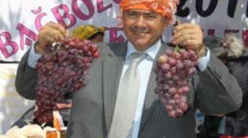 Bağbozumu Şenilkleri Bu Yıl 9-14 Ağustos Tarihleri Arasında D&uuml;zenlenecek