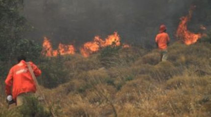 Makilik Alanda &Ccedil;ıkan Yangında 100 Hektar Alan K&uuml;l Oldu