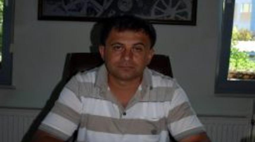 Sal&ccedil;alık Domateste Verim D&uuml;şt&uuml;