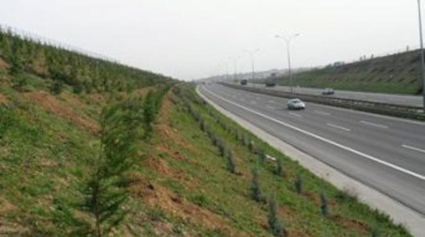 Ağa&ccedil;lar d&uuml;zenli olarak sulanıyor