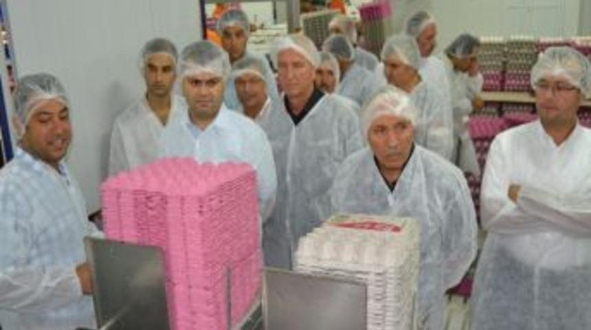 Tavuk &Ccedil;iftliğindeki K&ouml;t&uuml; Kokuya Gerekli &Ouml;nlemler Alınacak