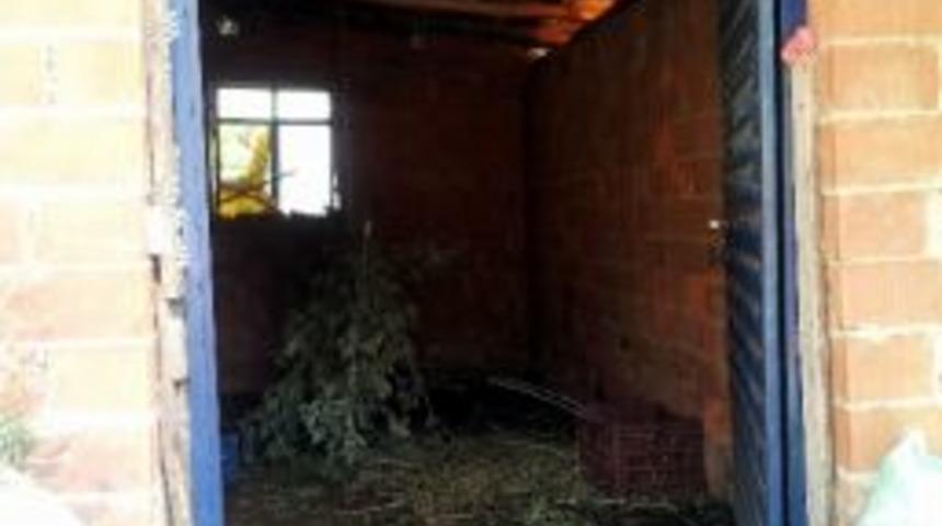 D&uuml;ğ&uuml;nlerde Satmak İ&ccedil;in Ahırda Şarap Kurmuş