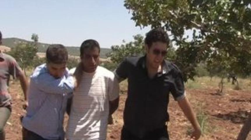 Fıstık tarlasında ş&uuml;pheli avı