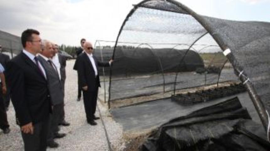 Vali Y&uuml;ksel Seralarda İncelemelerde Bulundu