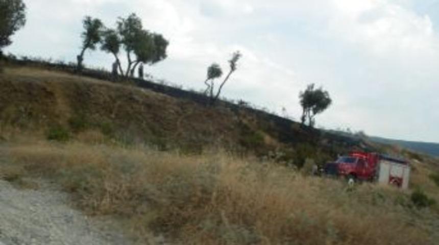 Ot Yangını Mahalle Sakinlerini Korkuttu