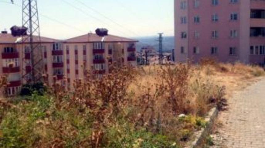 Bilecik&rsquo;te Kuru Otlar Tehlike Oluşturuyor