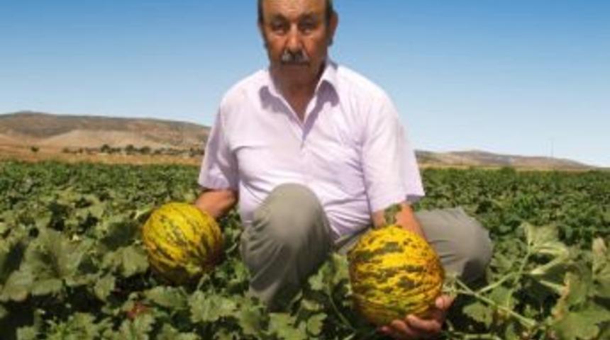 Araban Kavununa İlgi B&uuml;y&uuml;k