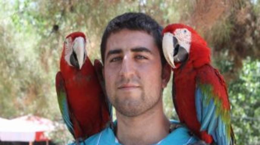 Ara Papağanlar Hayvanat Bah&ccedil;esinin Maskotu Oldu