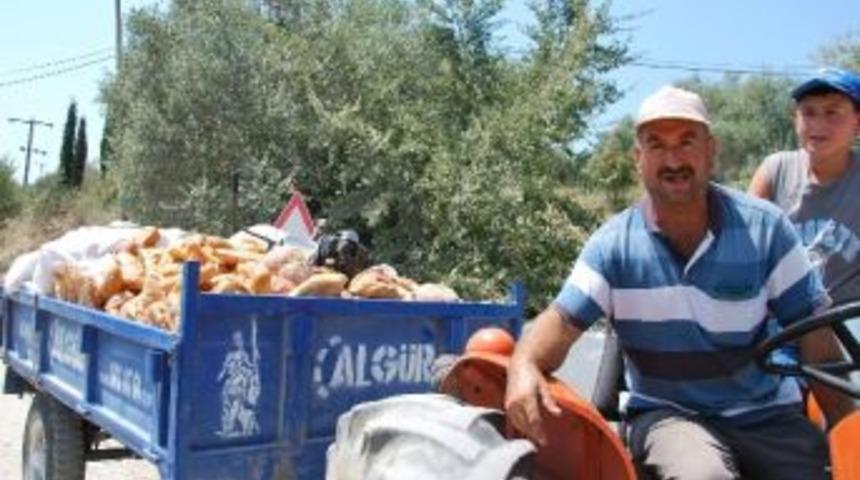 Kimi Bir Lokmasına Muhta&ccedil;, Kimi Tonlarca İsraf Ediyor