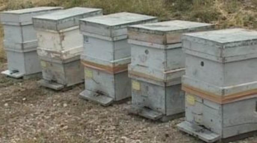 Erciyes&rsquo;te Bal &Uuml;retimi