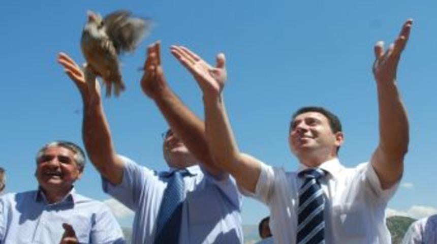 Keklikler Kene Avlayacak